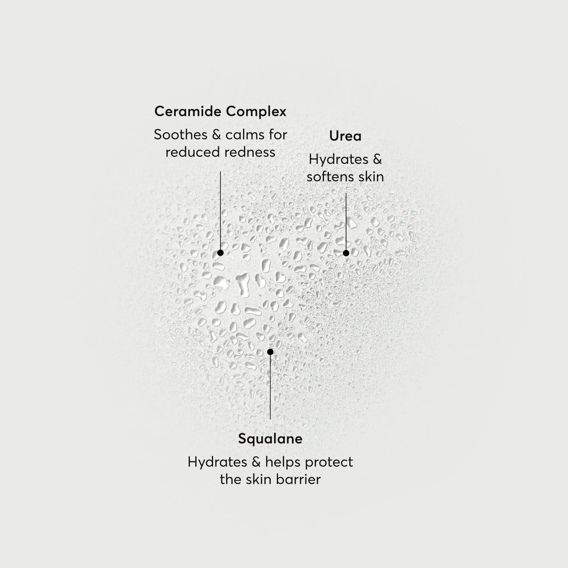 barrier-bounce-bi-phase-mist-h4 NATR-10167-Alt-Images-Barrier-Bounce-Bi-Phase-Toner-Mist_01.webp