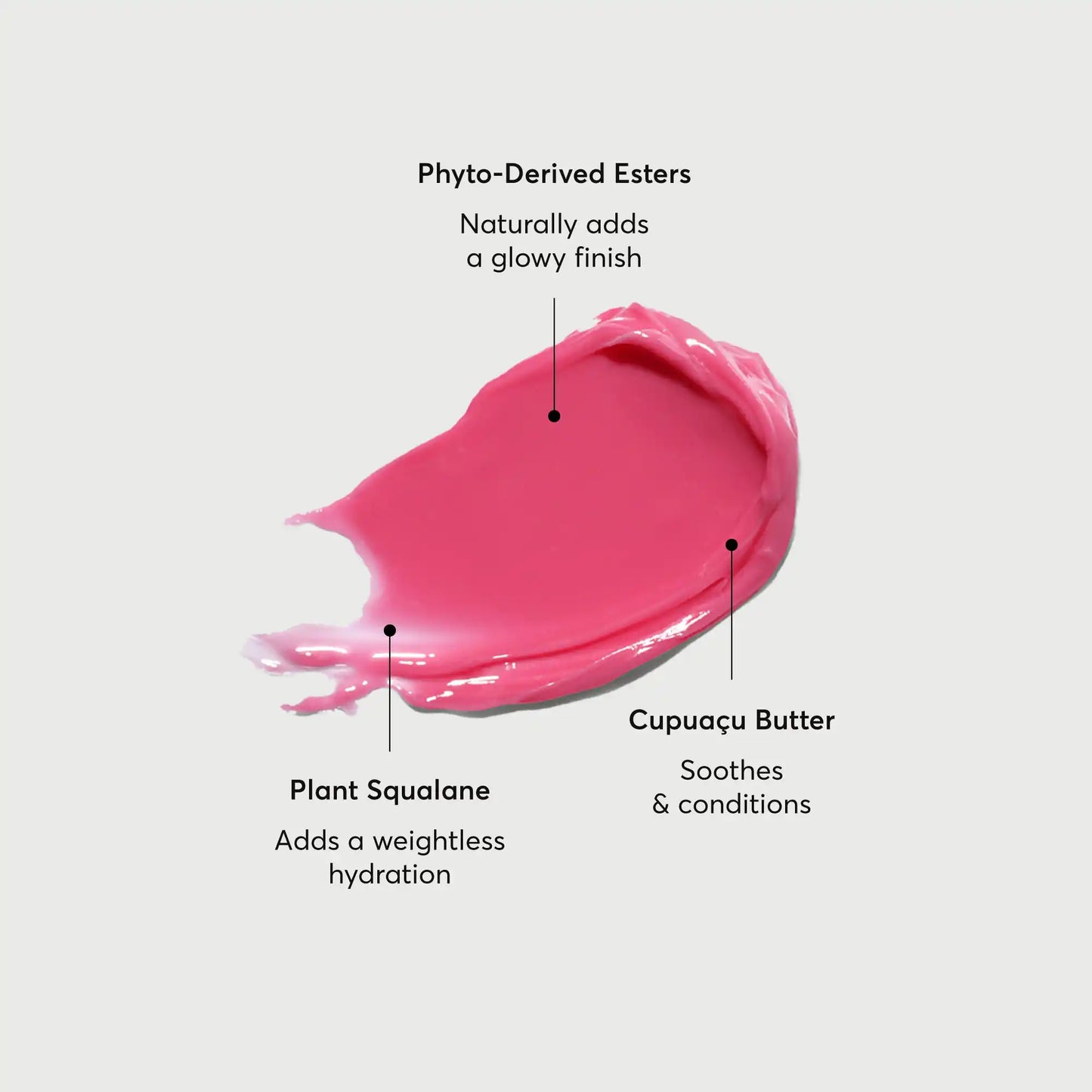 phyto-glow-lip-balm-camellia-o3 NATR-60075-Alt-Images-Phyto-Glow-Lip-Balm-Camellia-01.webp